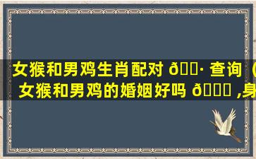 女猴和男鸡生肖配对 🌷 查询（女猴和男鸡的婚姻好吗 🐎 ,身体健康吗）